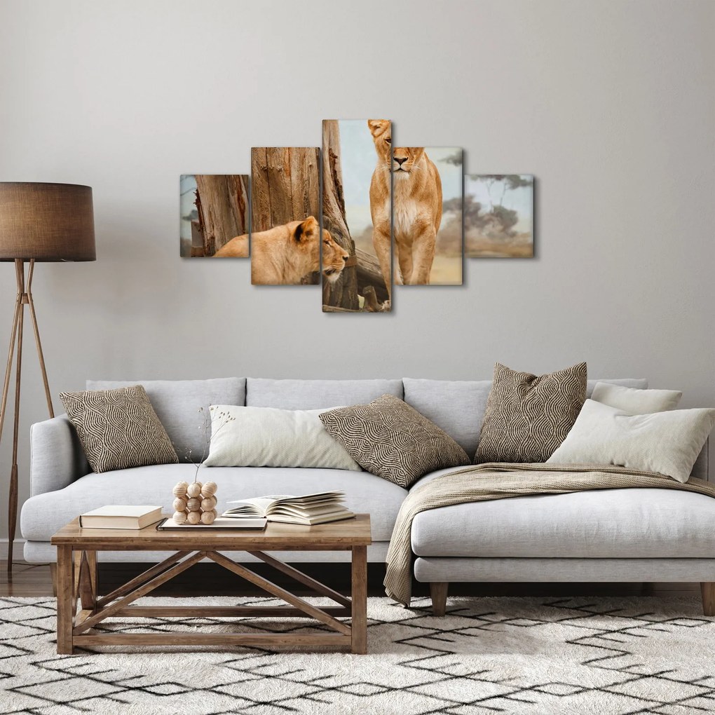 Obraz - dwie lwice (125x70 cm)