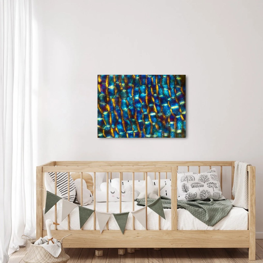 Obraz - Ściana komórkowa (70x50 cm)