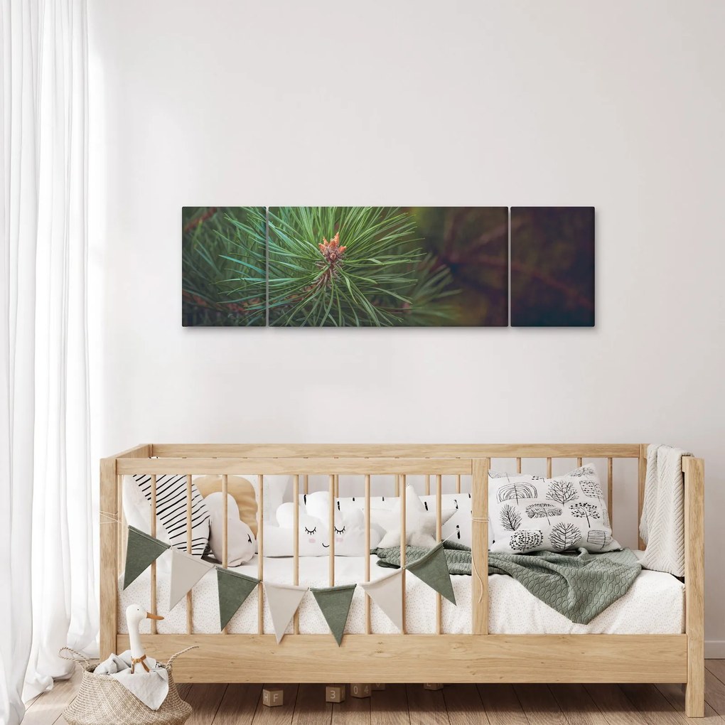Obraz - Detal sosny (170x50 cm)
