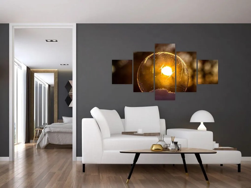 Obraz - Przezroczysta bańka (125x70 cm)