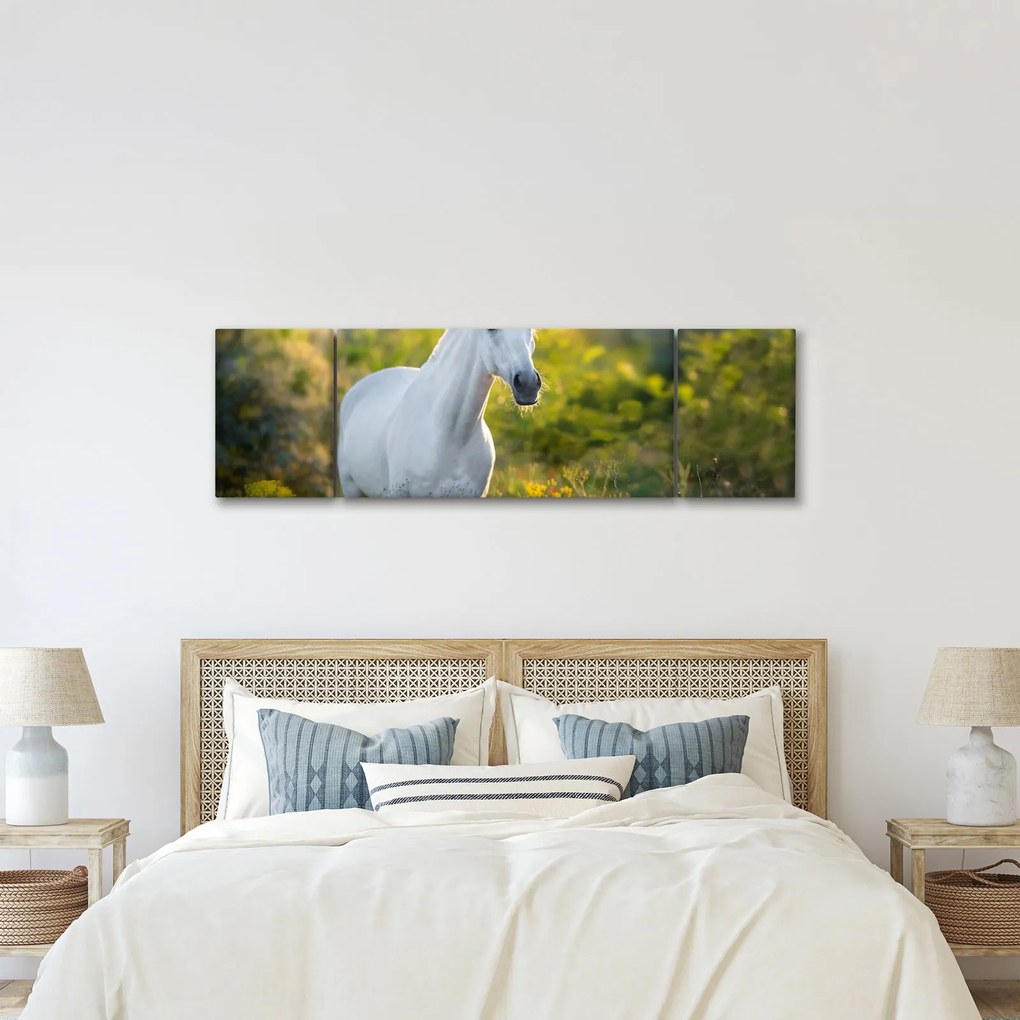 Obraz białego konia na łące (170x50 cm)