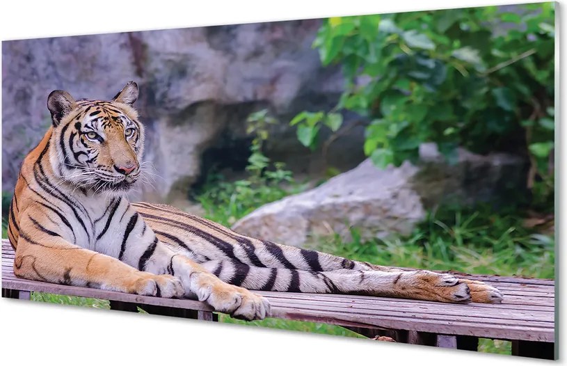 Szkło do Kuchni na Ścianę Majestatyczny Tygrys na Wybiegu
