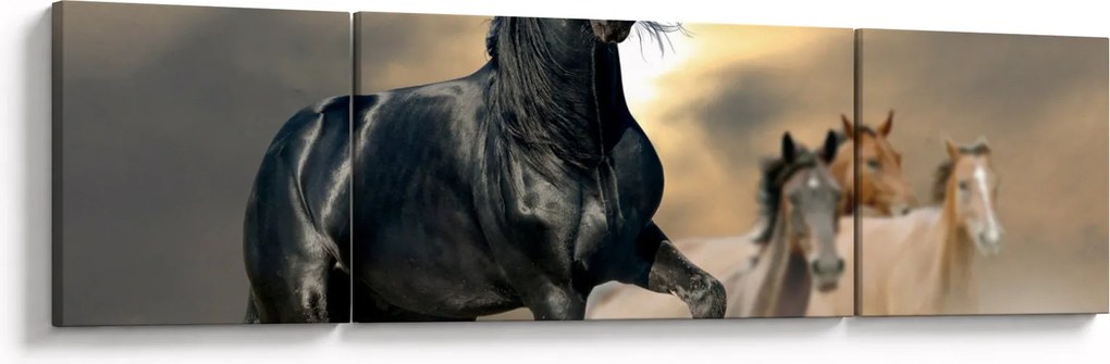 Obraz - Konie (170x50 cm)