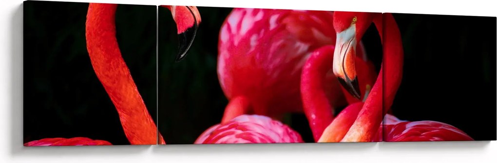 Obraz czerwonych flamingów (170x50 cm)