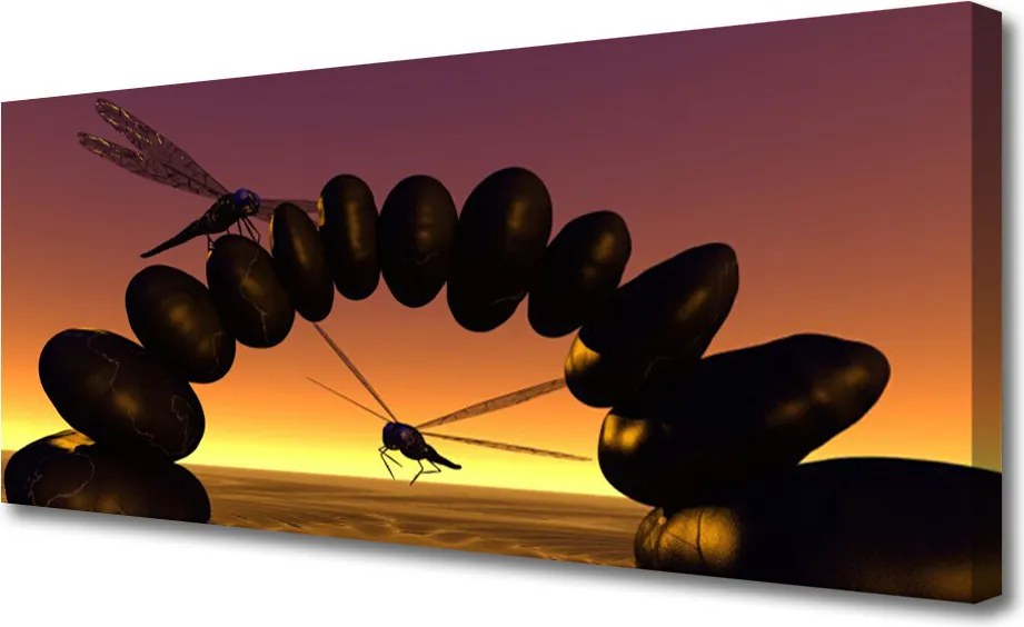 Duży obraz na płótnie Taniec Ważek nad Wodą