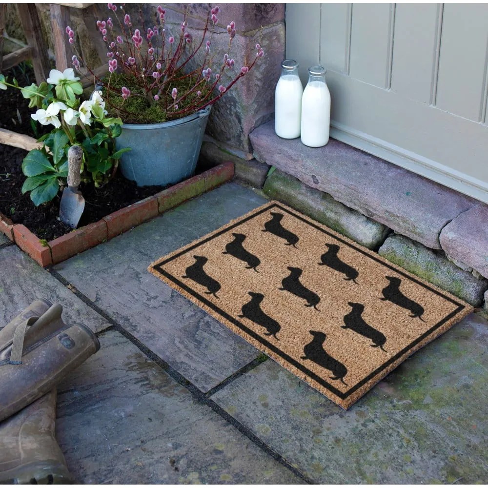 Wycieraczka z włókna kokosowego 40x60 cm Dachshund – Artsy Doormats