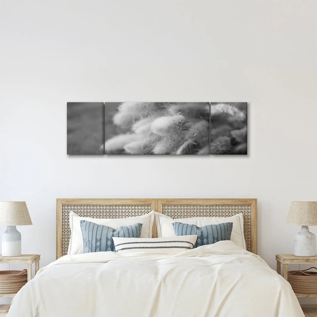 Obraz - trawa z króliczym ogonkiem na stole (170x50 cm)