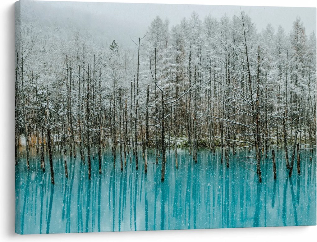 Obraz - Turkusowy staw, Biei, Japonia (70x50 cm)