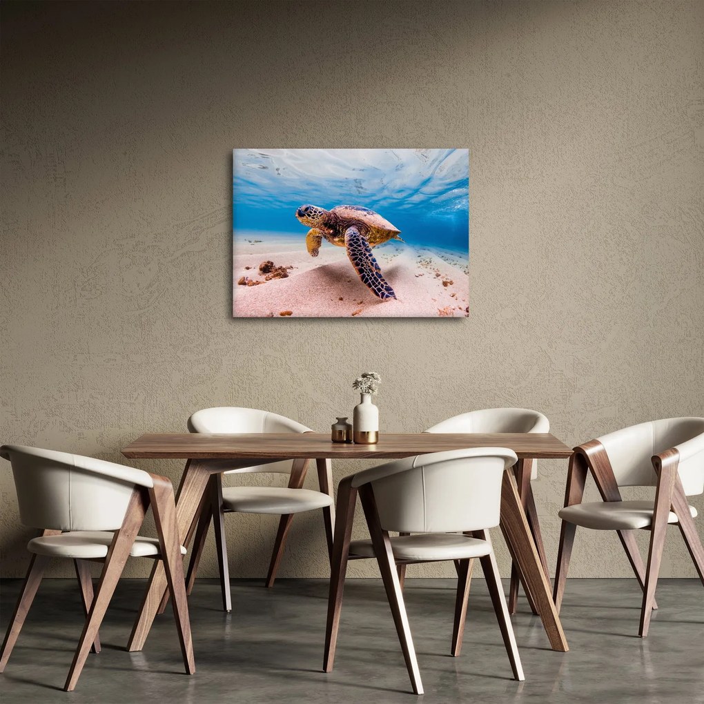 Obraz żółwia w oceanie (70x50 cm)