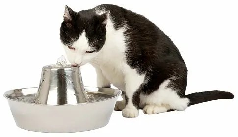 PetSafe® Seaside Fontanna ze stali nierdzewnej 1,8l