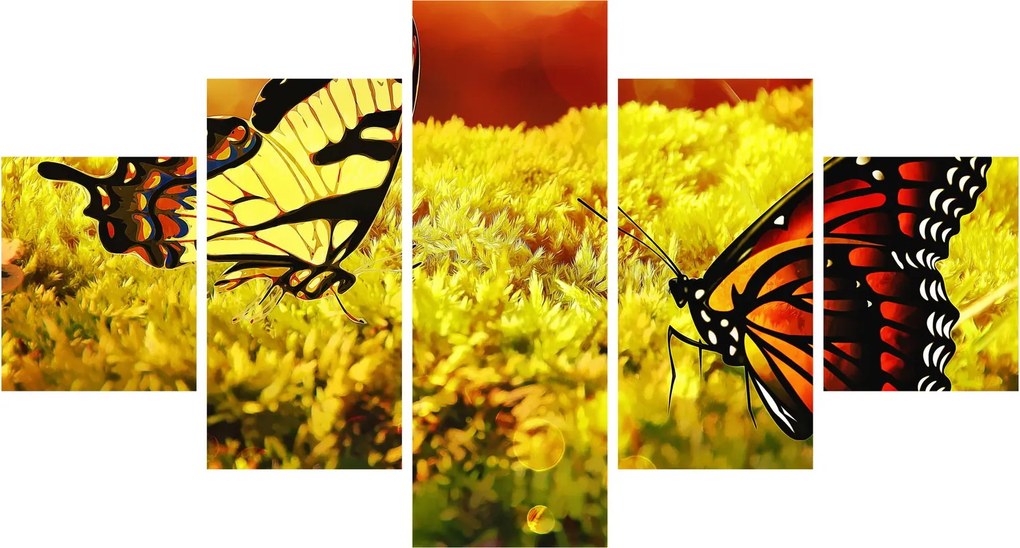 Obraz motyli (125x70 cm)