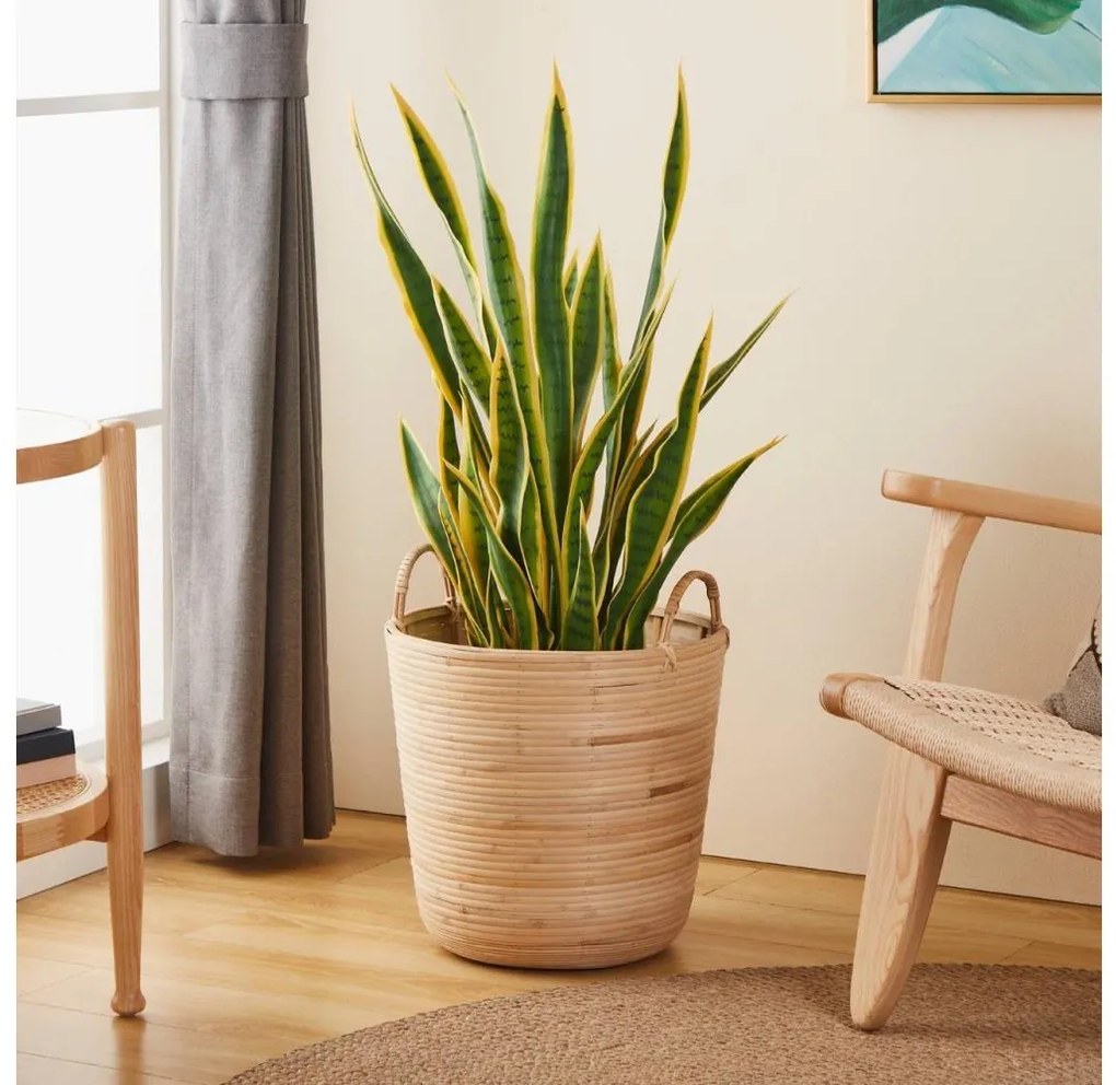 Eglo 426513 - Kosz dekoracyjny NARAHA 41x36 cm beżowy