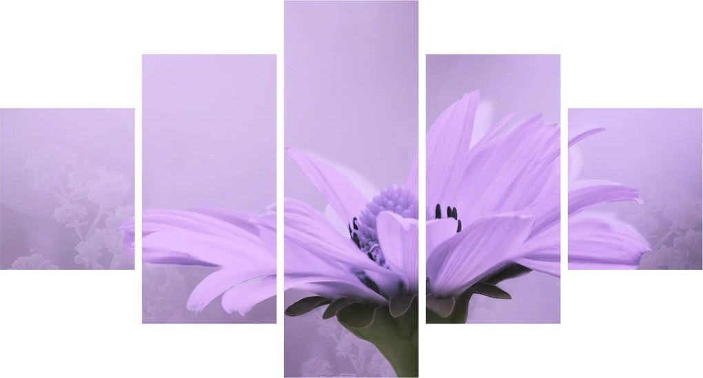 Obraz - Fioletowy kwiat (125x70 cm)