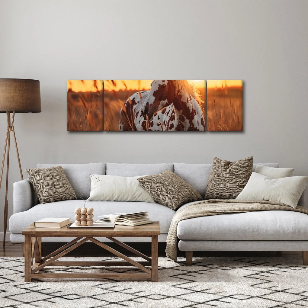 Obraz - Koń o zachodzie słońca (170x50 cm)