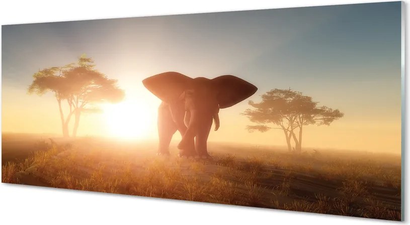 Panel szklany do Kuchni Słoń o Wschodzie Słońca na Sawannie