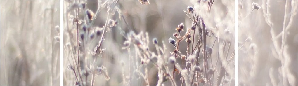 Obraz - Roślina (170x50 cm)