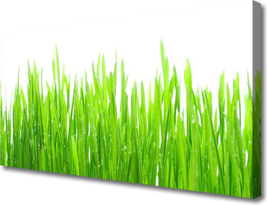 Obraz canvas Naturalna Świeżość Trawy