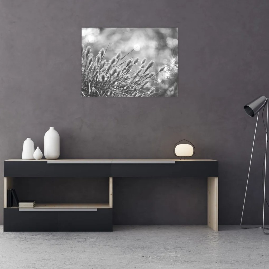 Obraz na szkle - Beżowa miękka trawa N⁰1 (70x50 cm)