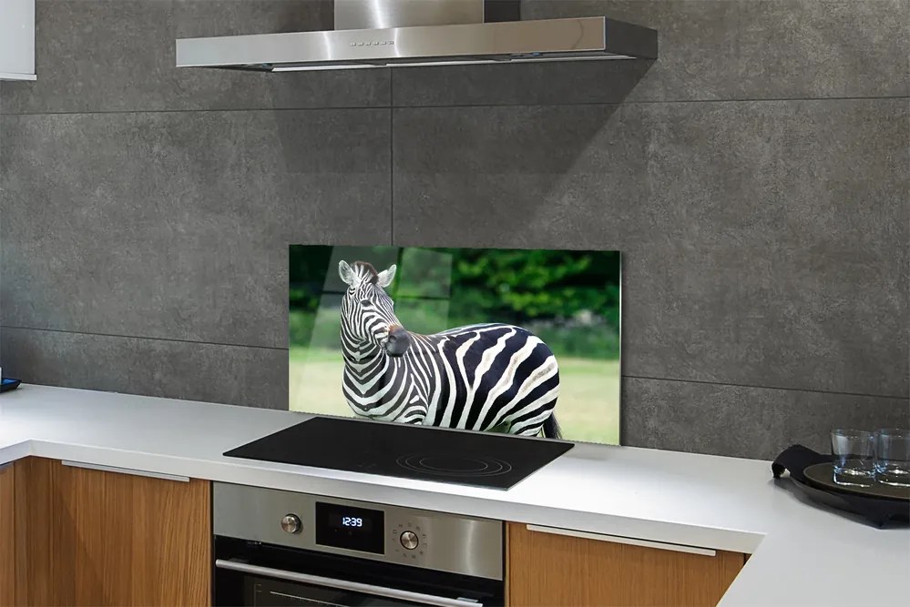 Panel szklany do Kuchni Zebra na tle Afrykańskiej Równiny