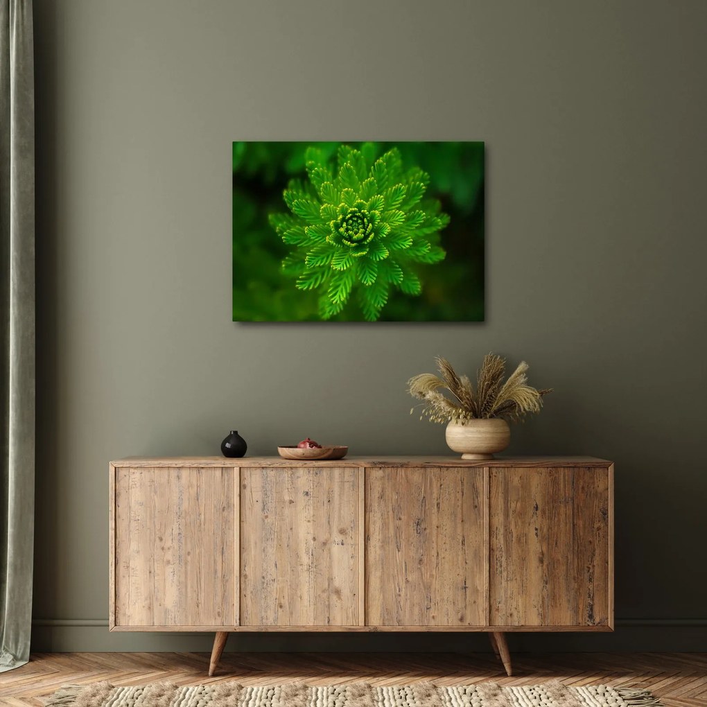 Obraz drzewa iglastego (70x50 cm)