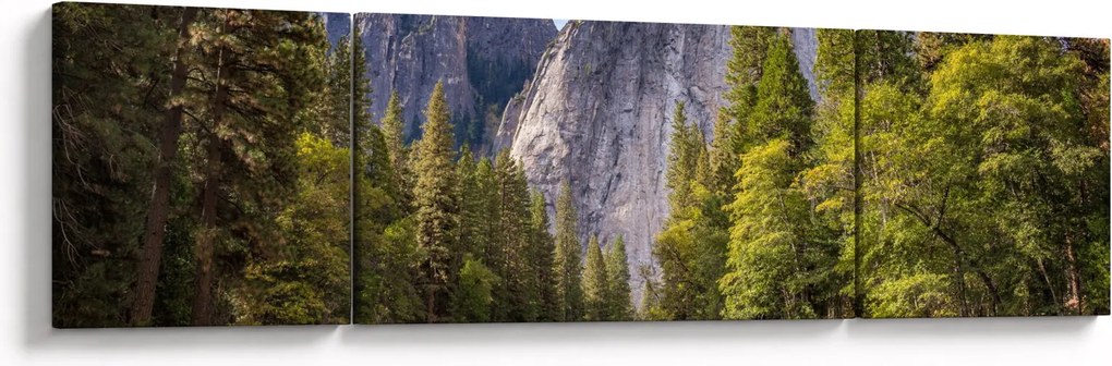 Obraz - Pod Yosemite Rock (170x50 cm)