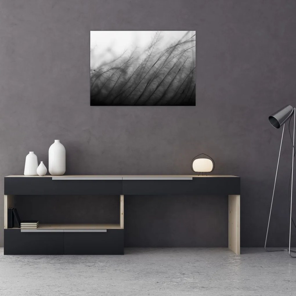 Obraz - Trawa na wietrze (70x50 cm)