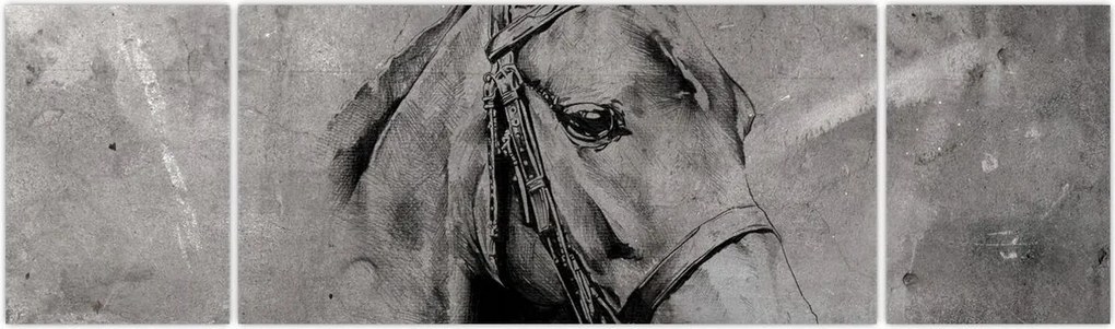 Obraz - Portret konia (170x50 cm)
