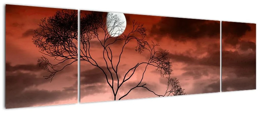 Obraz - Księżyc oświetlający noc (170x50 cm)