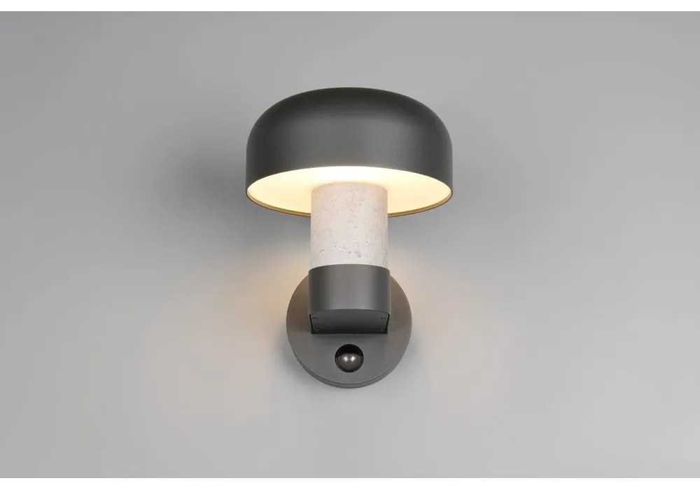 Zewnętrzna lampa ścienna (wysokość 24,5 cm) Fraser – Trio