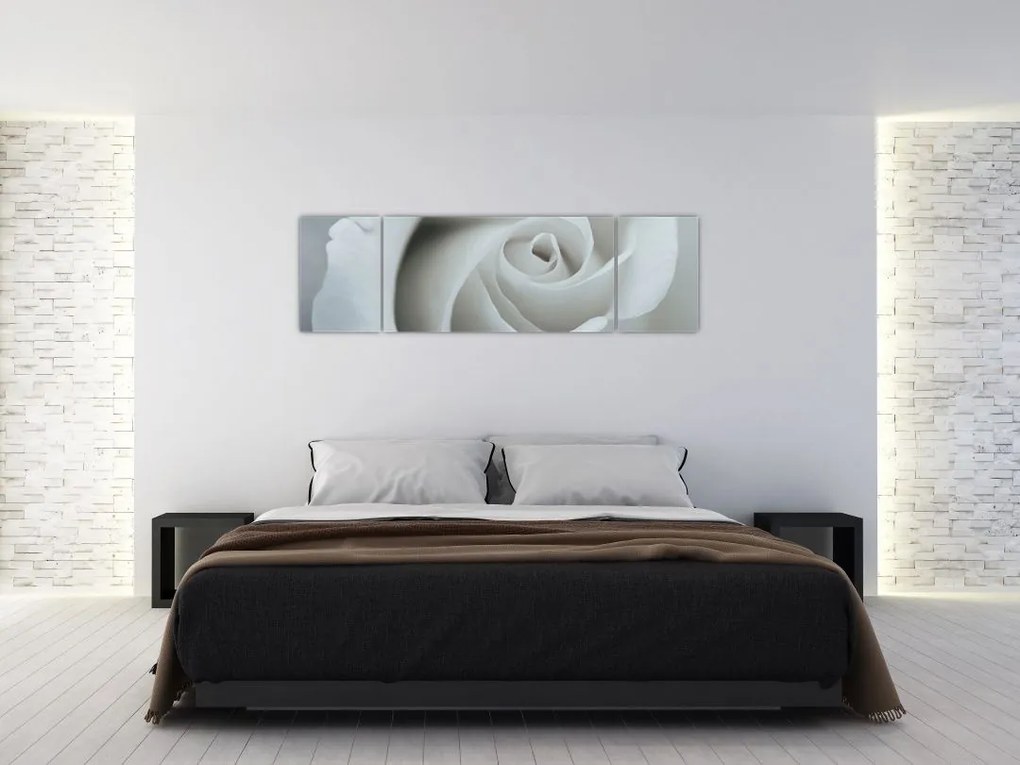 Obraz - Biała róża (170x50 cm)