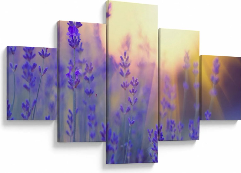 Obraz - Lawenda (125x70 cm)