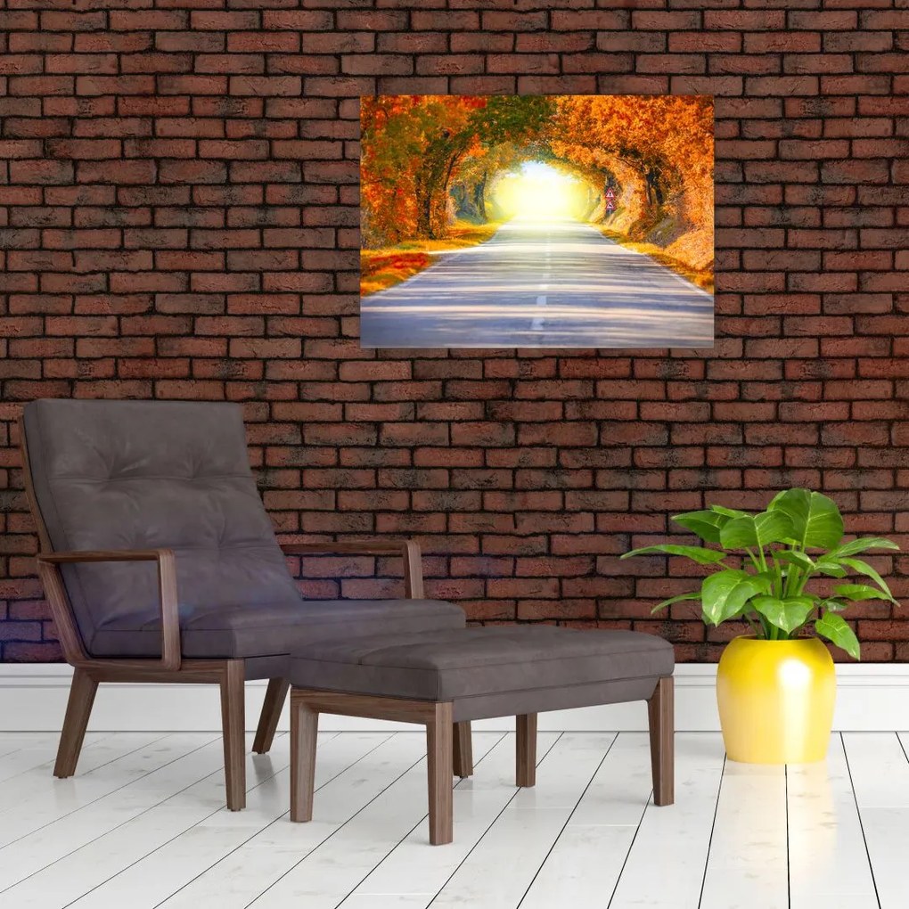 Obraz - Brama wykonana z koron drzew (70x50 cm)