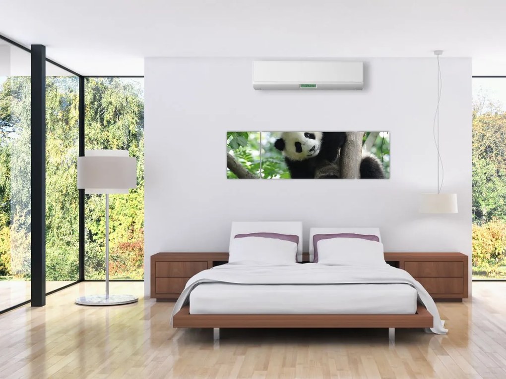 Obraz - Panda na drzewie (170x50 cm)