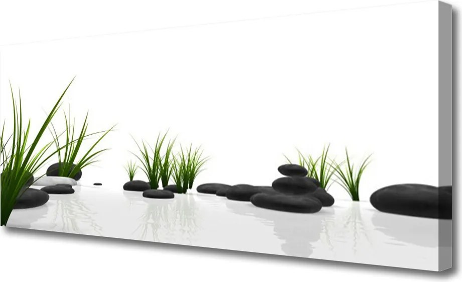 Zdjęcie na płótnie Kamienie w Soczystej Trawie