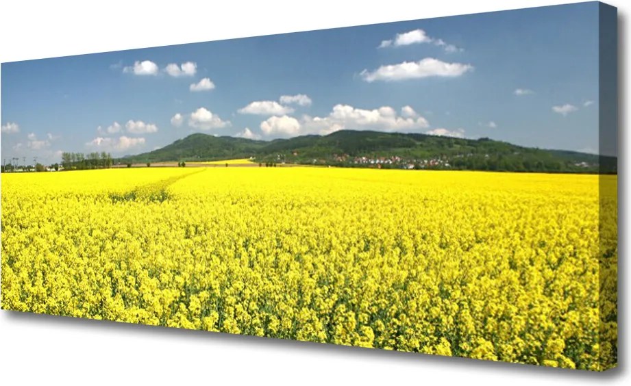 Obraz canvas Złociste Pole Rzepaku