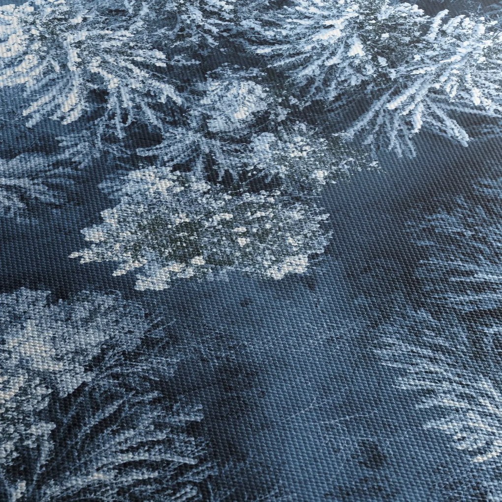 Obraz - Śnieżny las (170x50 cm)