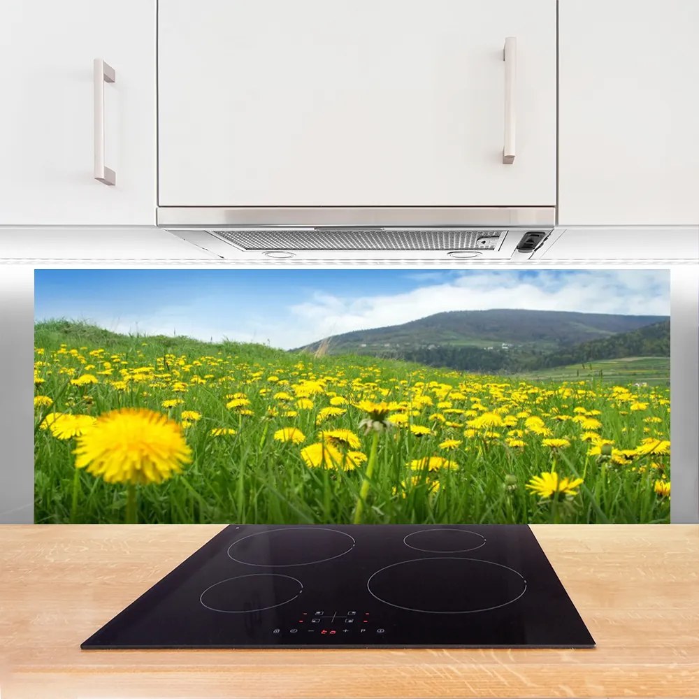 Szkło do Kuchni na Ścianę Polny Urok Mniszka