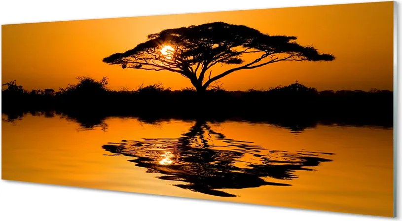 Szklany Panel Drzewo o Zachodzie Słońca