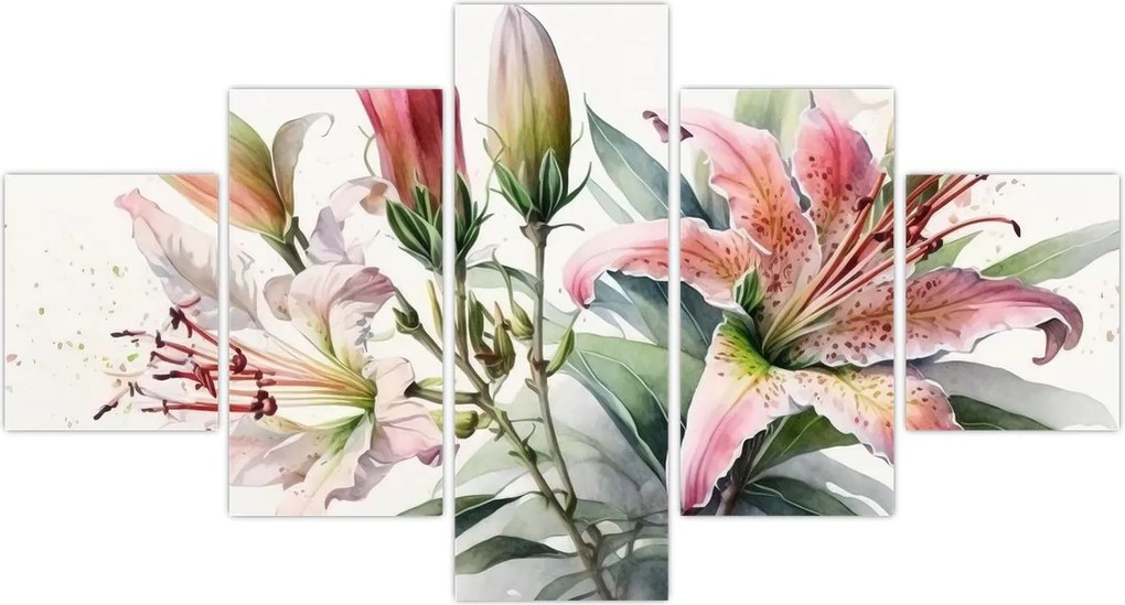 Obraz - Lilie, ilustracje (125x70 cm)