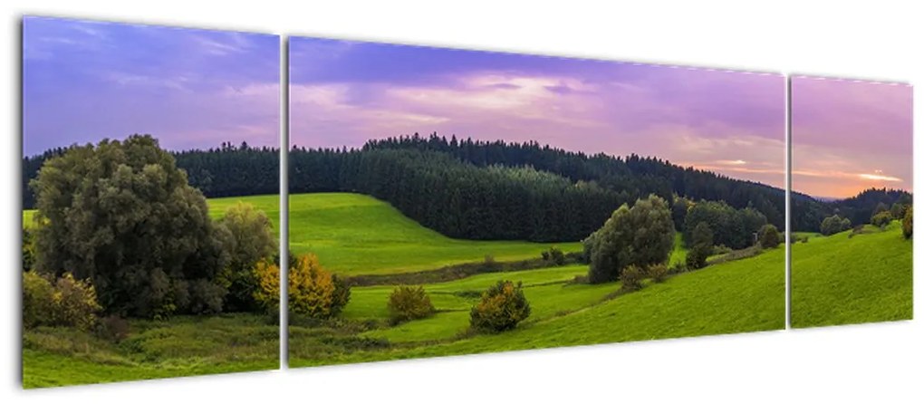 Obraz łąki (170x50 cm)