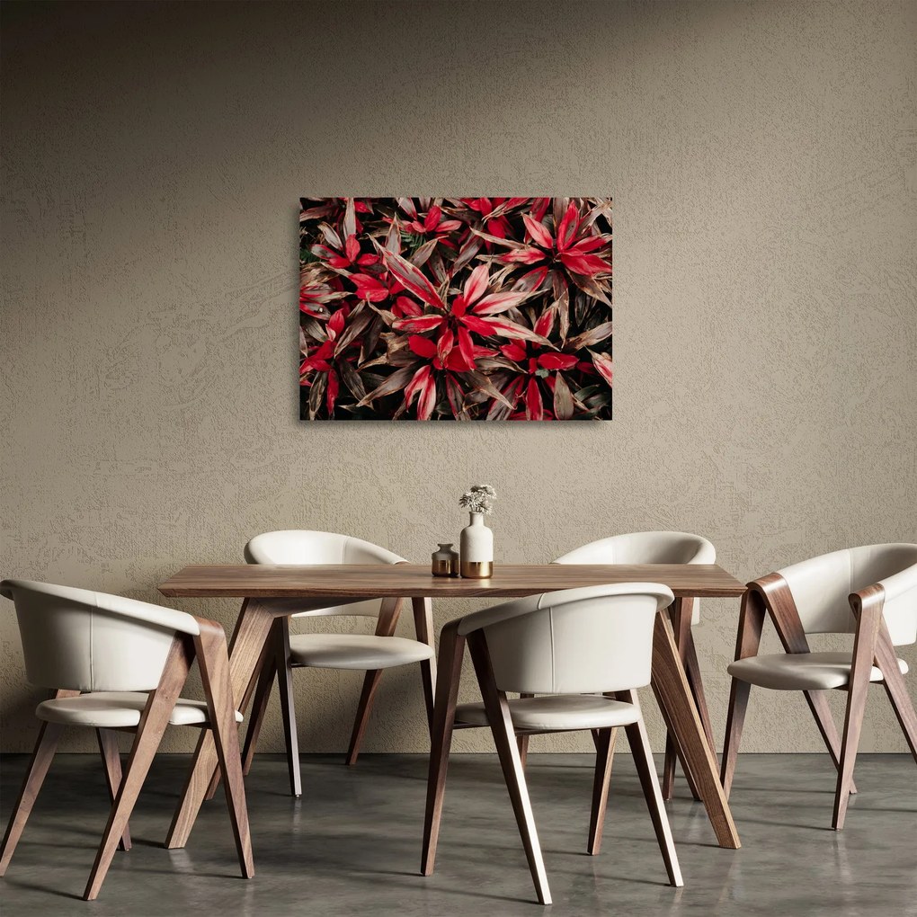 Obraz na szkle czerwonych płatków (70x50 cm)
