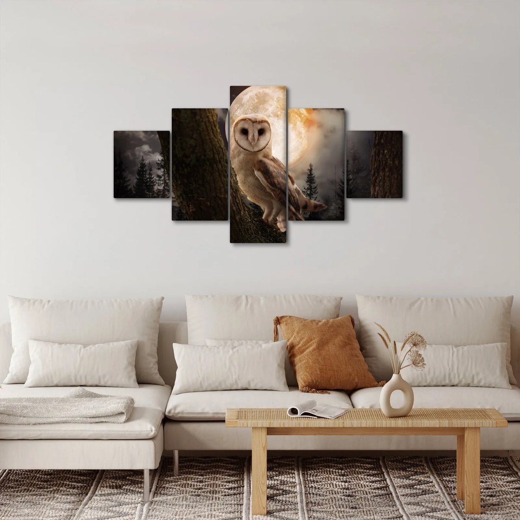 Obraz sowy palonej (125x70 cm)