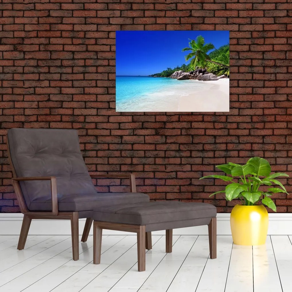 Obraz na szkle - plaża na wyspie Praslin (70x50 cm)