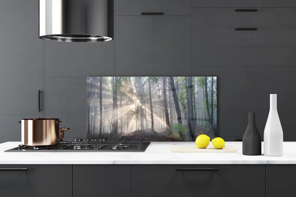 Panel Kuchenny Głusza Starego Lasu