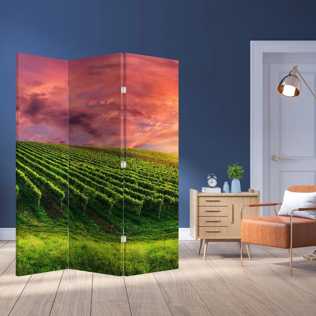 Parawan - Winnica z kolorowym niebem (126x170 cm)