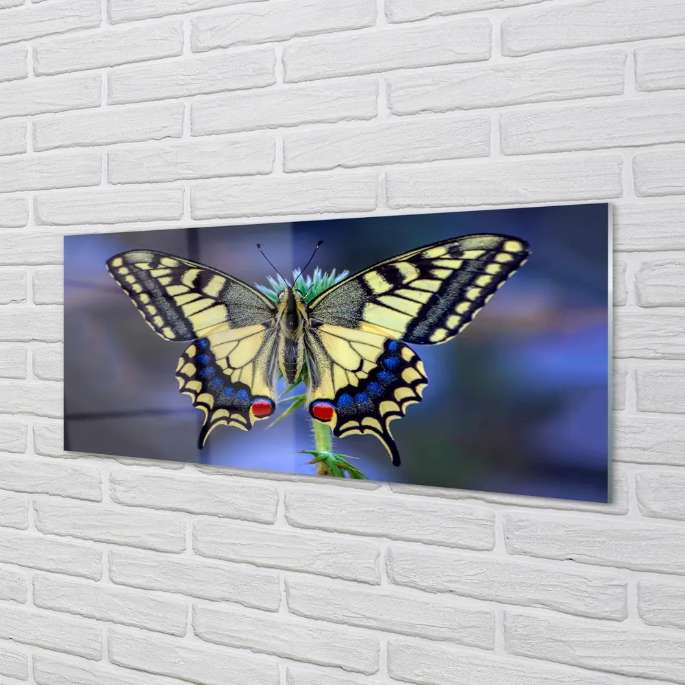Panel szklany do Kuchni Chwila Odpoczynku Motyla
