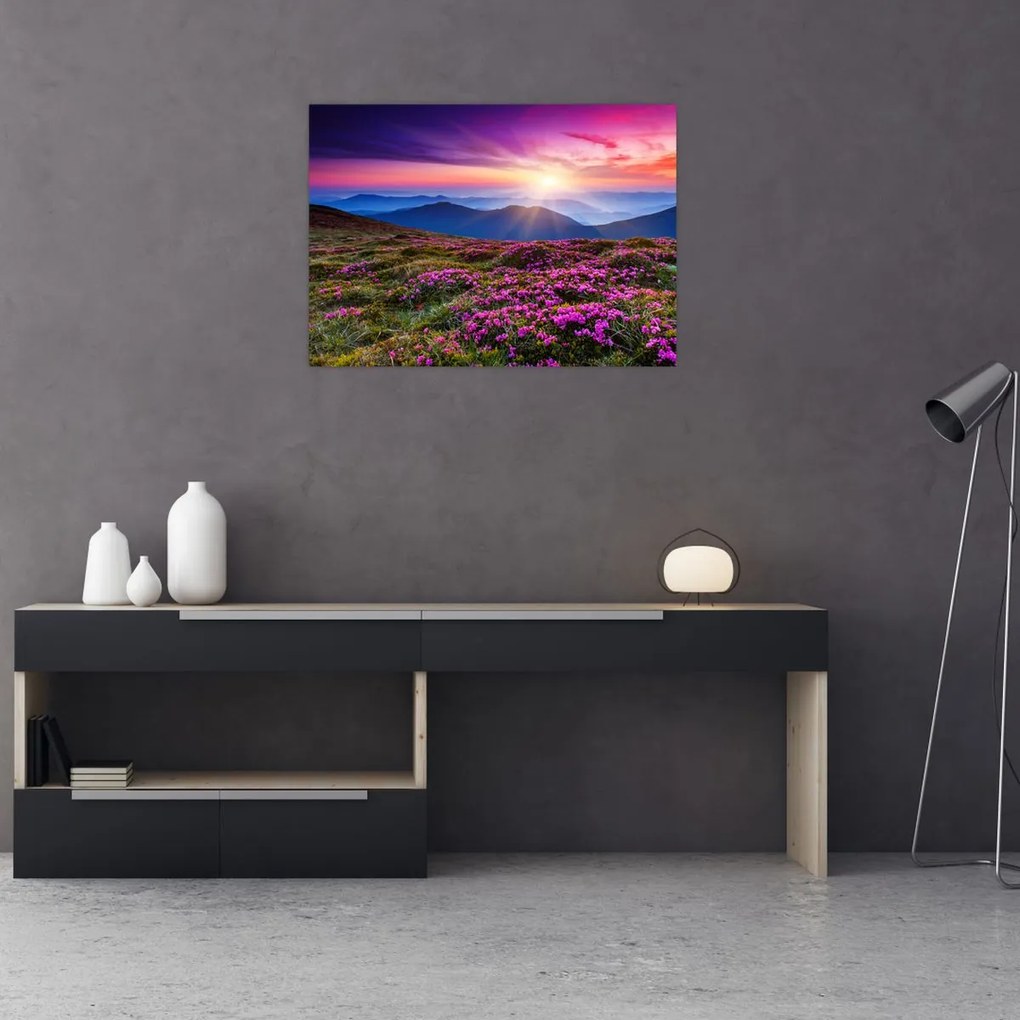 Obraz na szkle - Krajobraz kwitnących gór (70x50 cm)