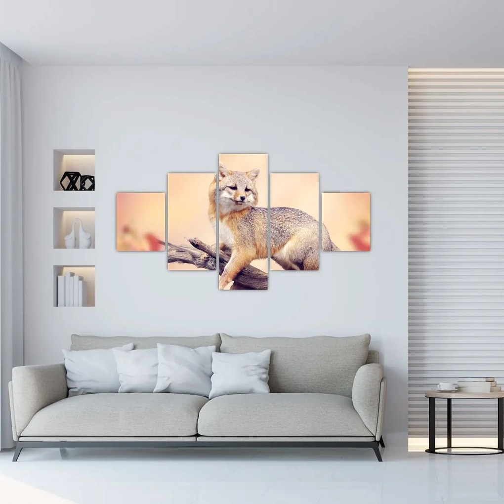 Obraz - Lis (125x70 cm)