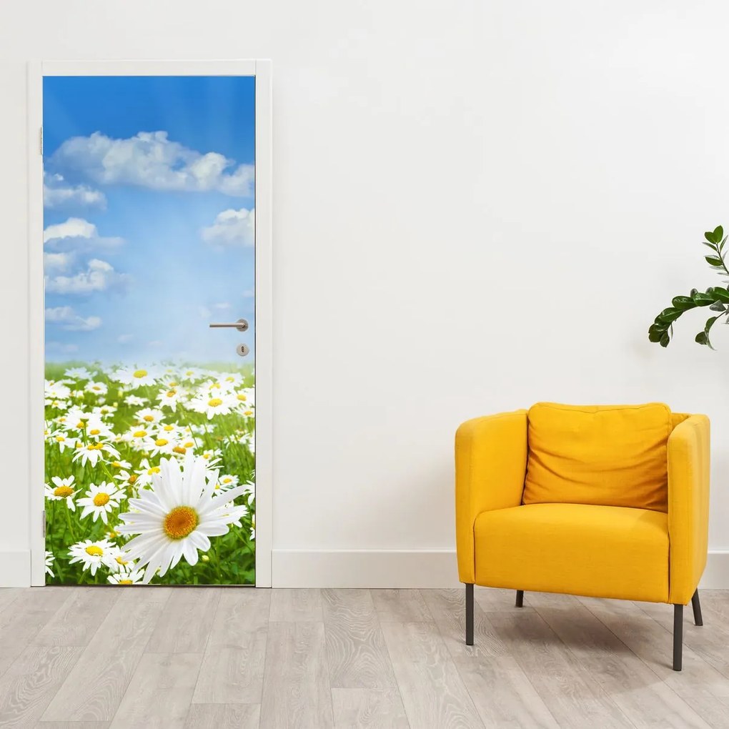 Fototapeta na drzwi - Kwitnąca łąka ze stokrotkami (95x205cm)