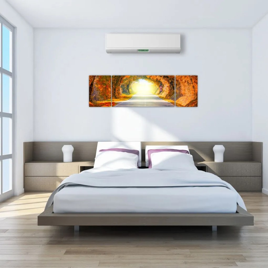 Obraz - Brama wykonana z koron drzew (170x50 cm)